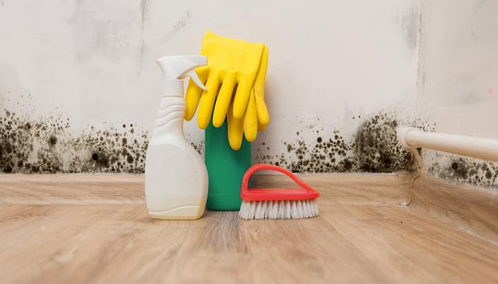 Know About Mold Removal In Akron