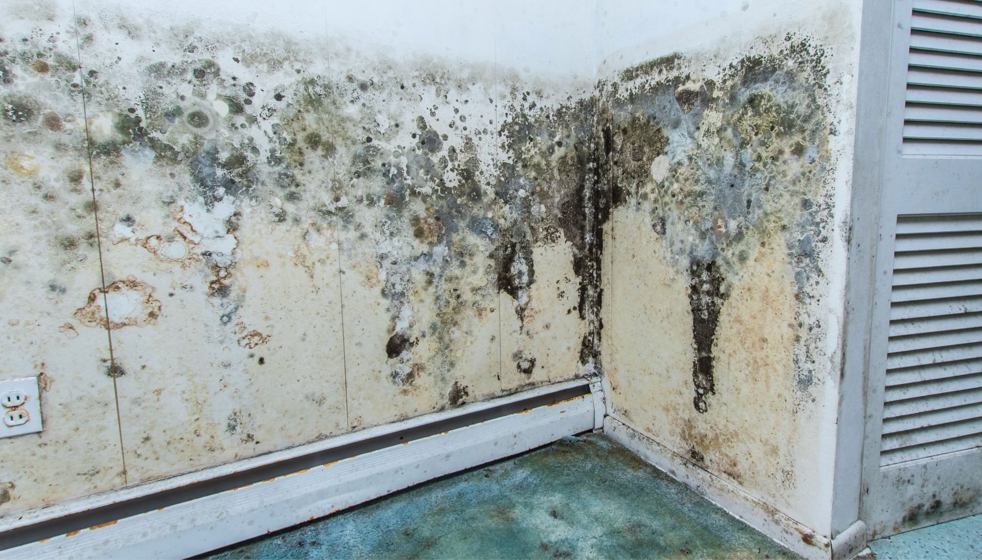 Mold Damage Odor Control Services in Akron