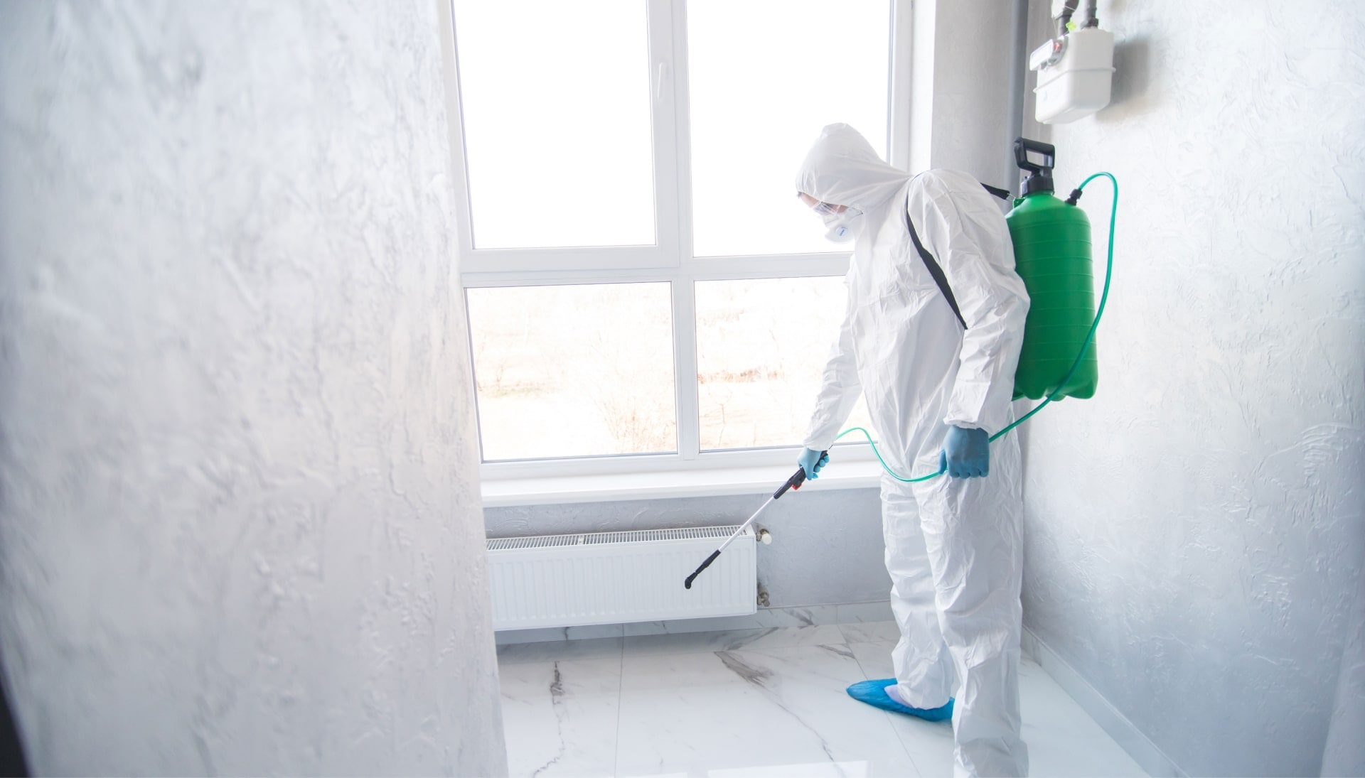 Mold Inspection Services in Akron